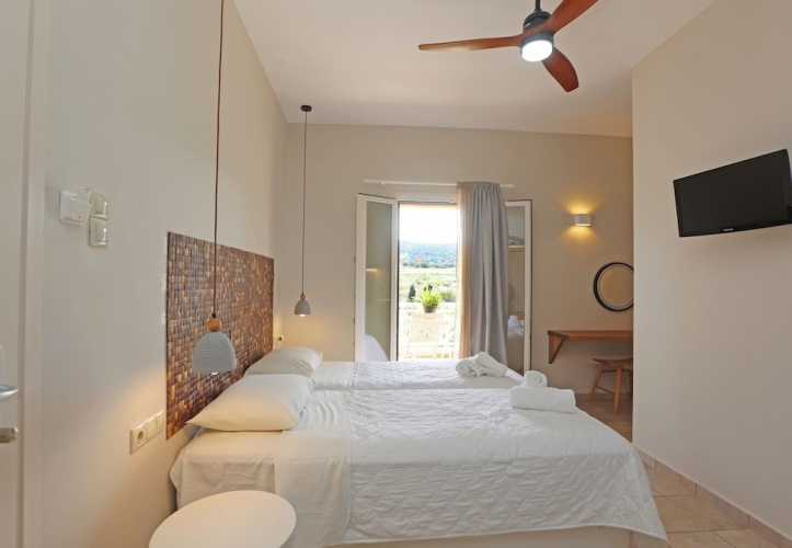 Twin Studio with balcony and with garden view