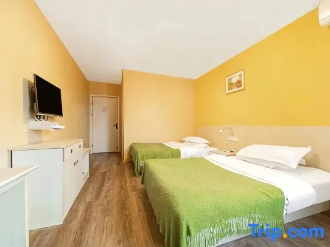 Standard Twin Family room