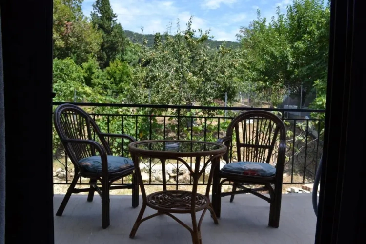 Standard Double room with mountain view