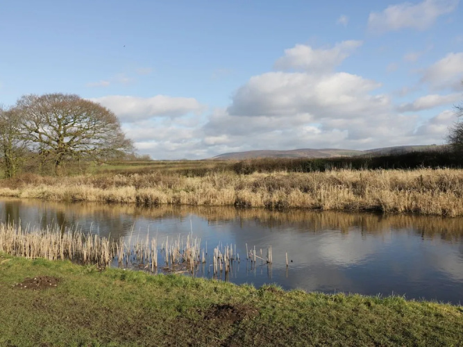 The Furrows