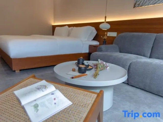 Luxury Suite