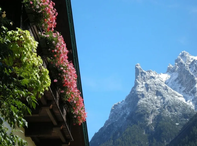 Standard Double room with balcony and with mountain view