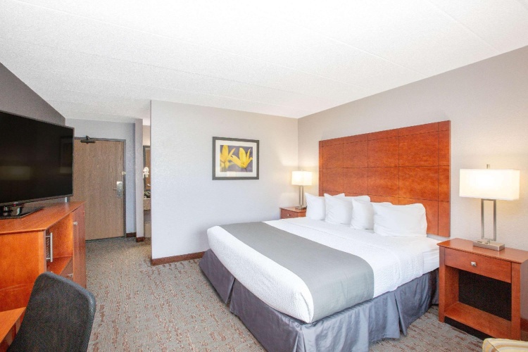 Superior Double Suite