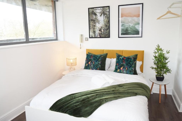 Deluxe Apartment