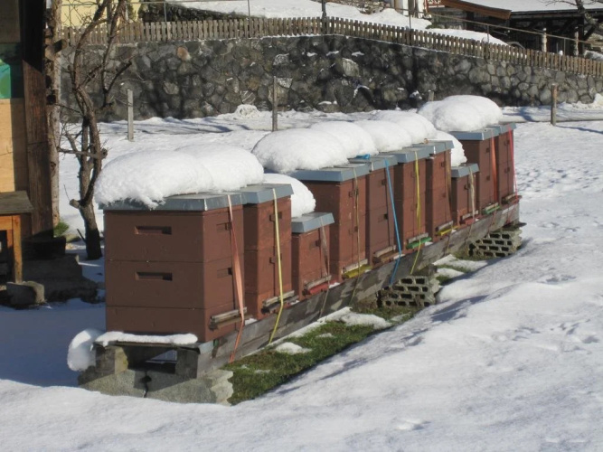 Ferienhaus Flatscher
