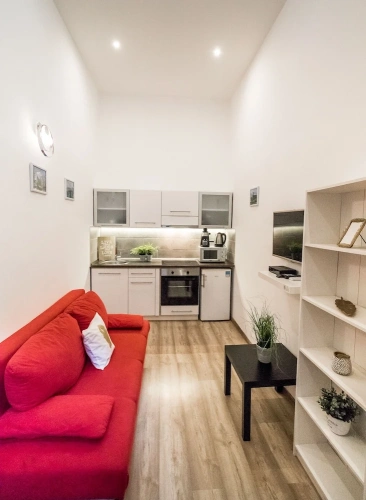 Junior Apartment