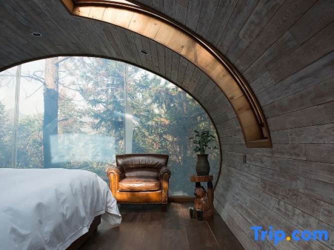 Standard Double room with view
