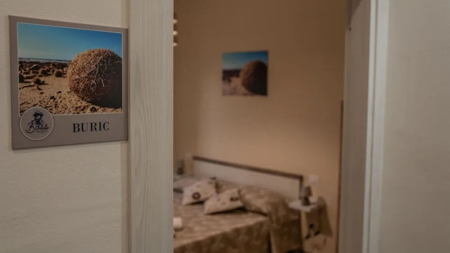 Boss guest house