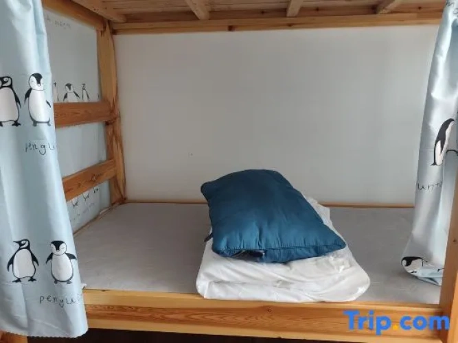Bed in Dorm (male dorm)