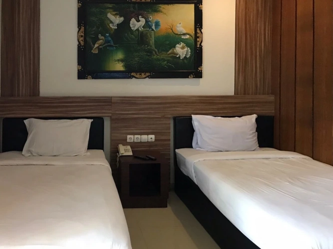 Deluxe Twin room