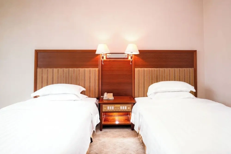 Business Double room with city view