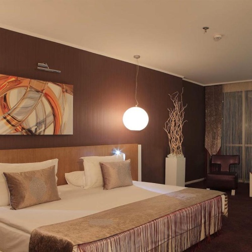 Superior Double room with view