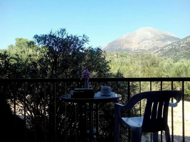 Standard Twin room with mountain view
