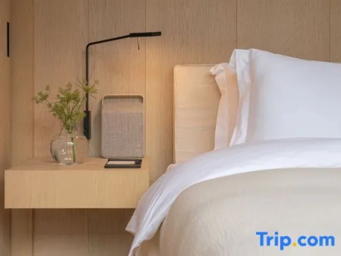 1 Bedroom Deluxe Suite