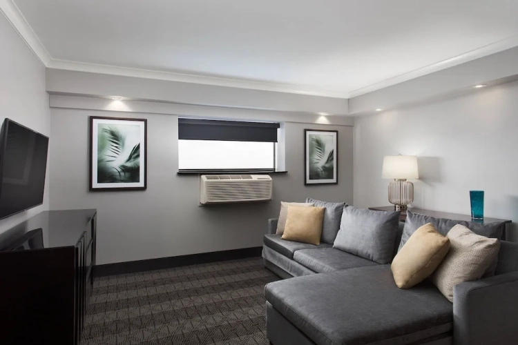1 Bedroom Executive Suite
