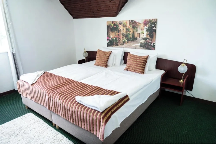 Standard room with lake view