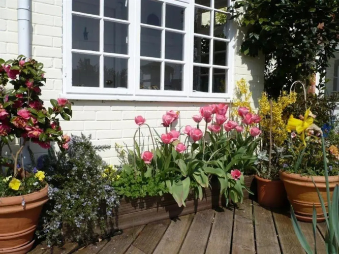 The Mews Cottage