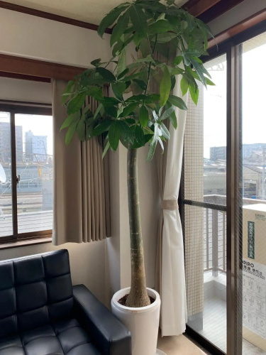 Ganadan villa 3F