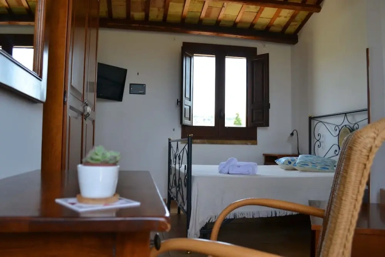 Deluxe Double room with garden view