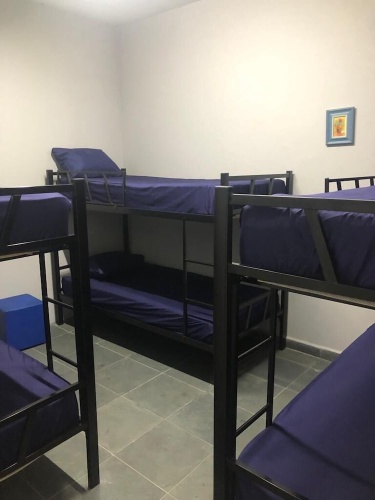 Bed in Dorm