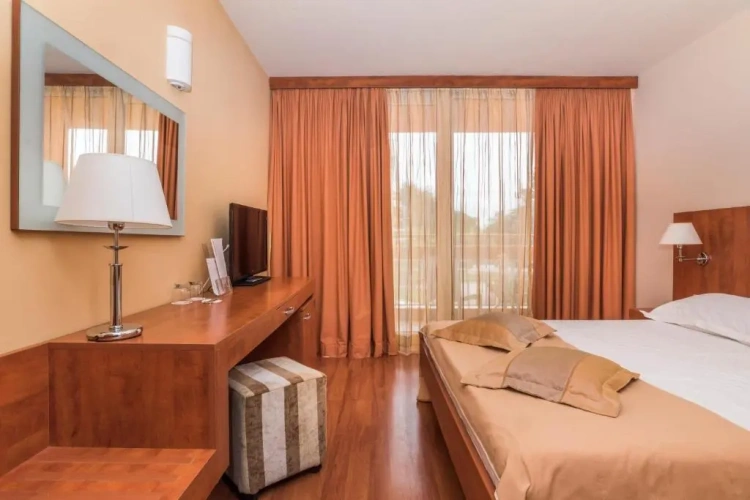 Economy Single room with park view