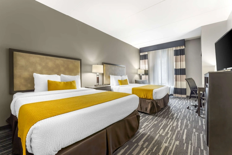 Quadruple Suite