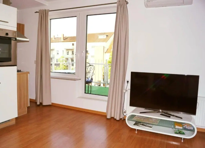 Business Apartment with view
