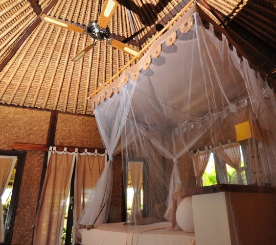 Standard Bungalow