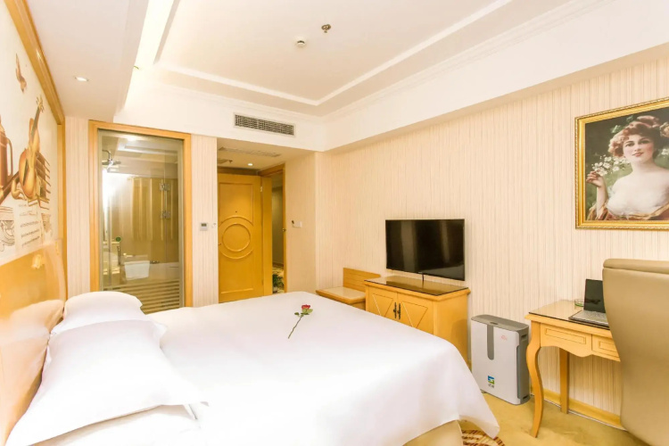 Vienna Hotel