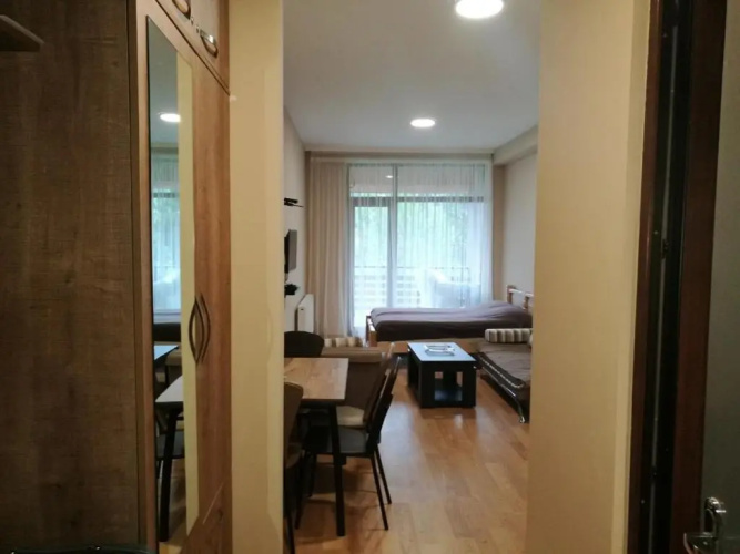 Studio in Bakuriani City