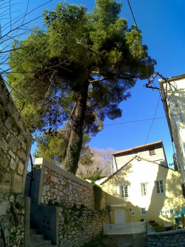Stone House Trebinje