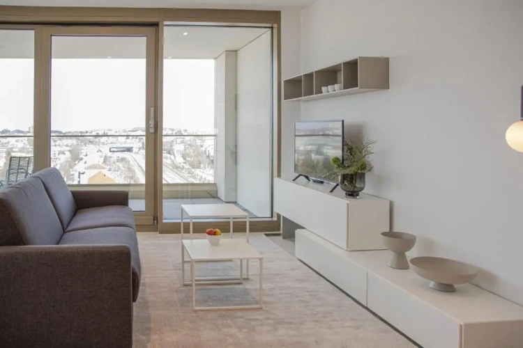 1 Bedroom Apartment