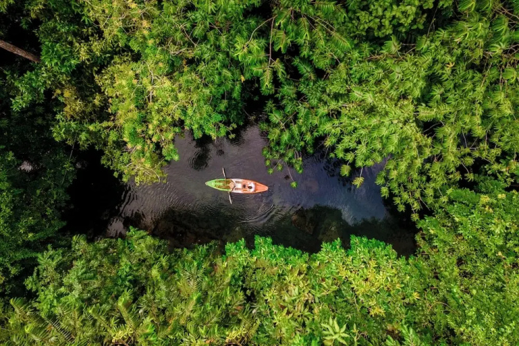 Cuyabeno Lodge