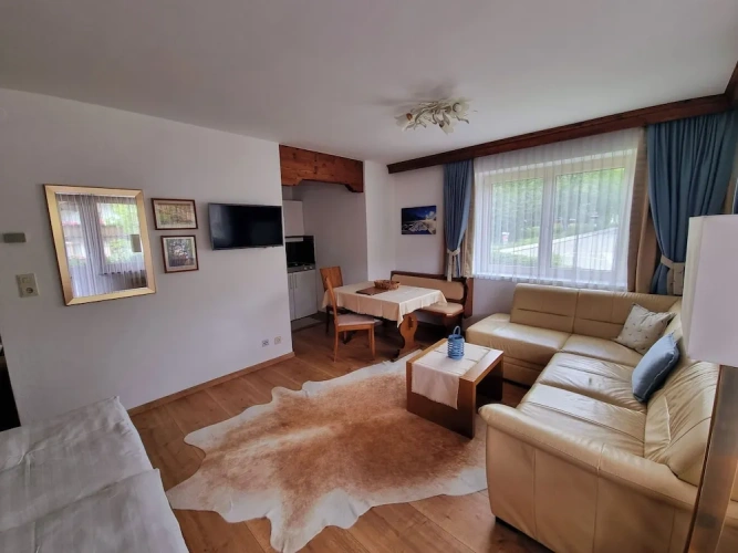 Comfort Apartment