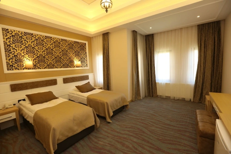 Deluxe Single room with garden view