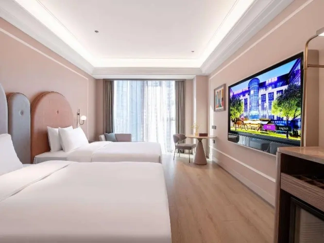 Superior Twin room with city view