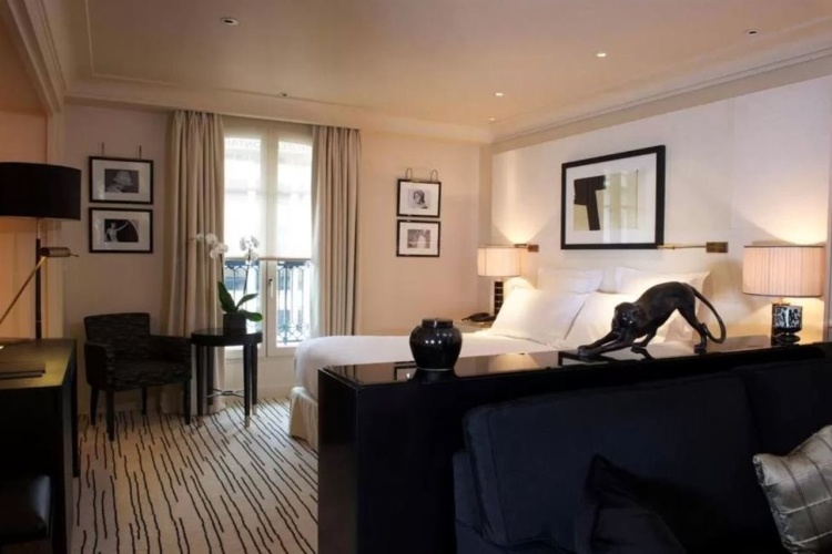 Hotel Montaigne (Classic) photo 6