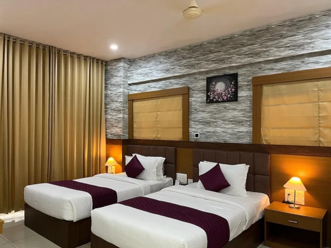 Deluxe Twin room with city view