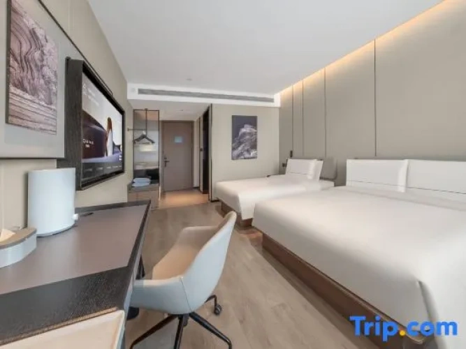 Standard Twin Family room