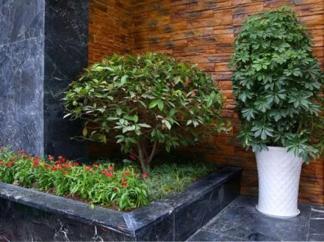 Outside