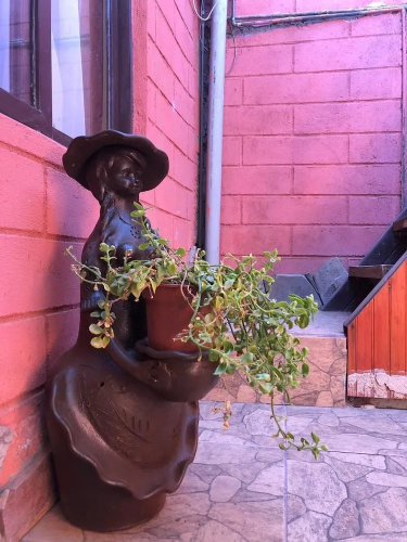 Hotel San Marcos