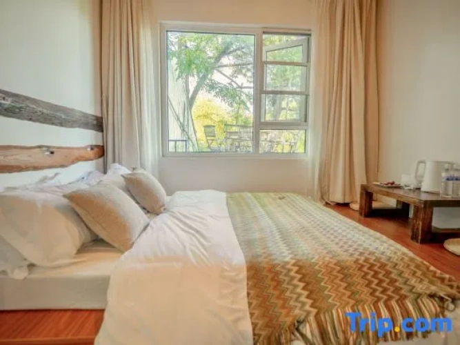 Standard Double room with mountain view