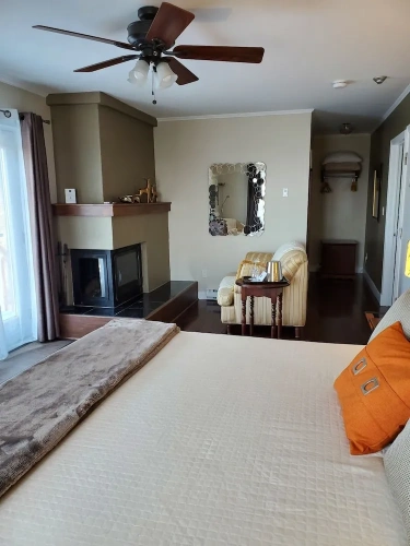 Deluxe Double room with balcony and with river view