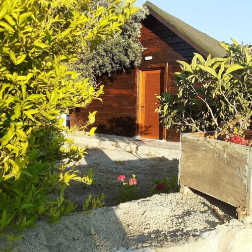 Standard Bungalow