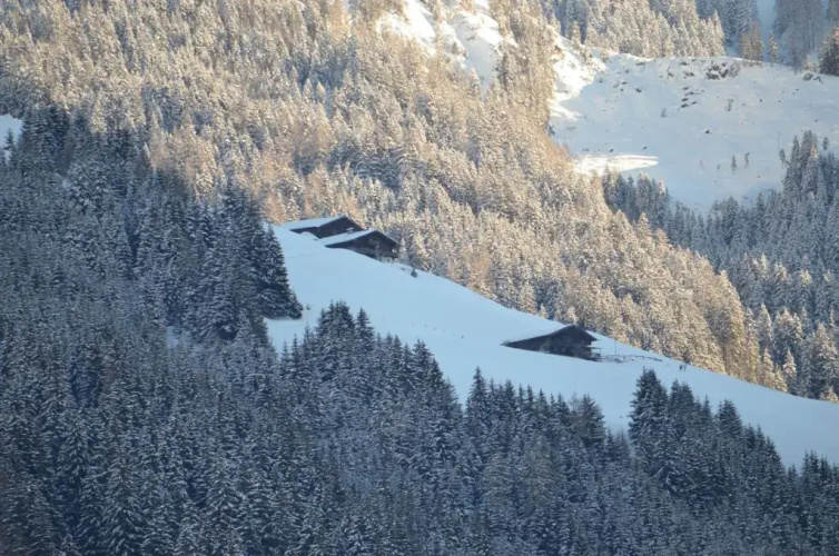 Hotel Wieser