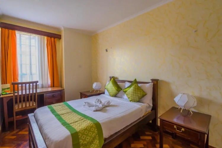Standard Single room with view