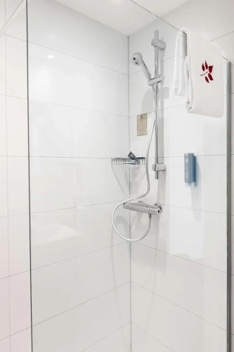 Standard Single room with park view