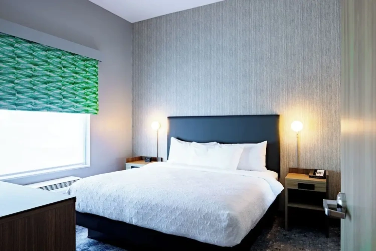 1 Bedroom Suite