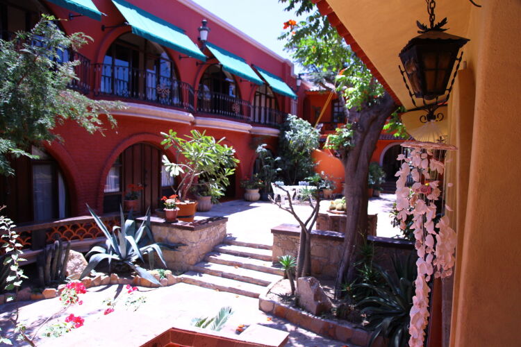 Imagen de Collection O Casa Bella Hotel Boutique, Cabo San Lucas