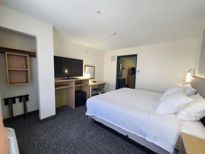 1 Bedroom Suite